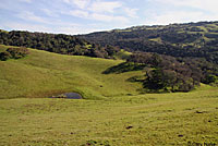 Diablo Range Gartersnake Habitat