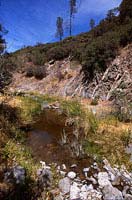 foothill yellow-legged frog habitat