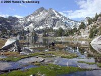 Sierra Nevada Yellow-legged Frog Habitat