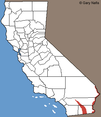 Great Plains Toad California Range Map