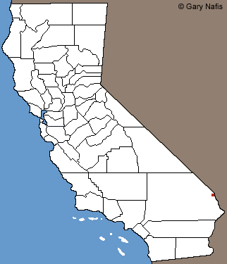 Arizona Toad California Range Map