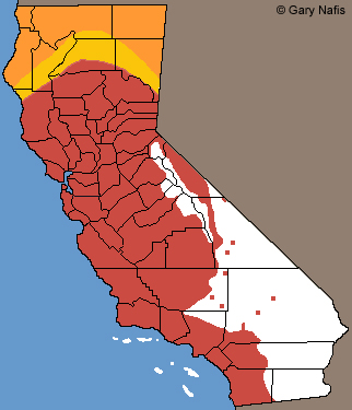 california toad range map