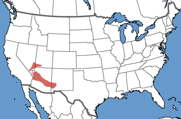 Full Species Range Map