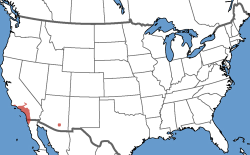 Full Species Range Map