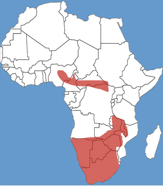 Full Species Range Map