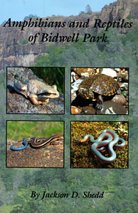 Shedd, Jackson D.  Amphibians and Reptiles of Bidwell Park. Quadco Printing, Chico. 2005 