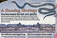 California Red-legged Frog sign
