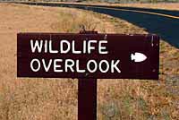 wildlife overlook