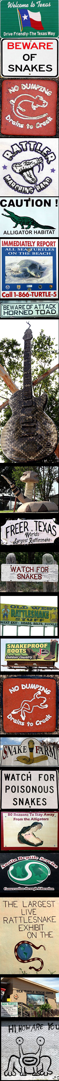 Texas side pics