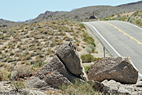 Great Basin Collared Lizard Habitat