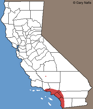 Green Anole California Range Map