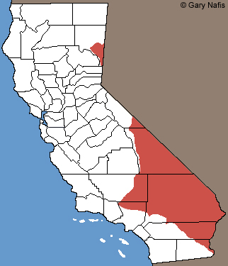 Great Basin Collared Lizard California Range Map