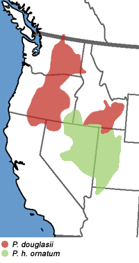 Full Species Range Map