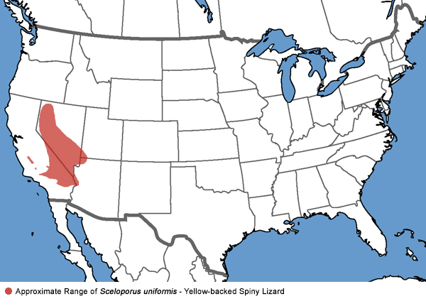 Full Species Range Map