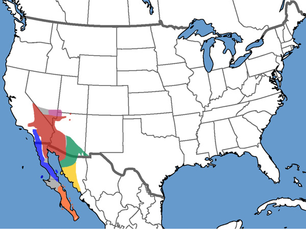 Full Species Range Map