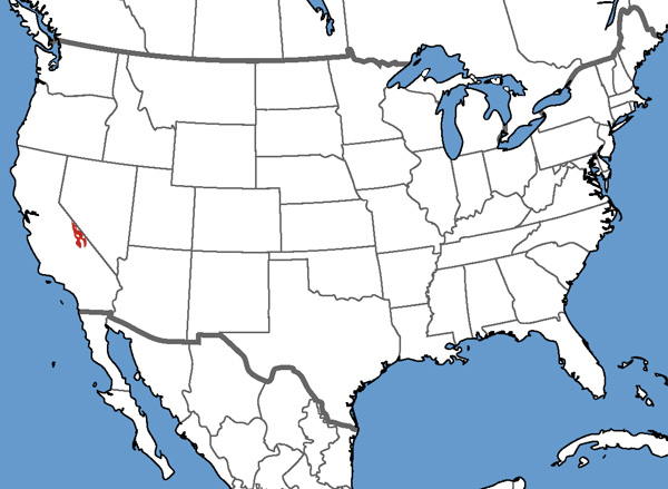 Panamint Alligator Lizard Range Map