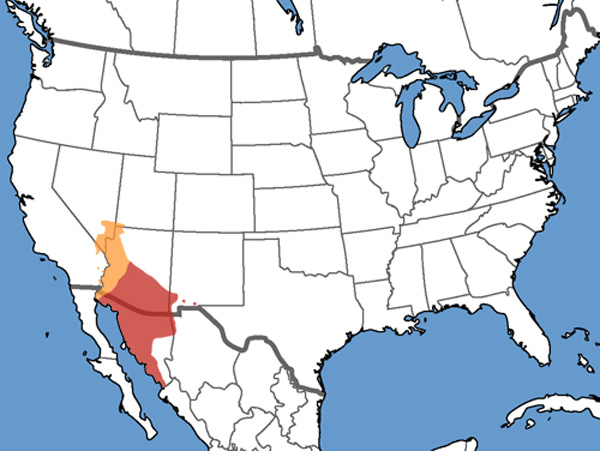 Full Species Range Map