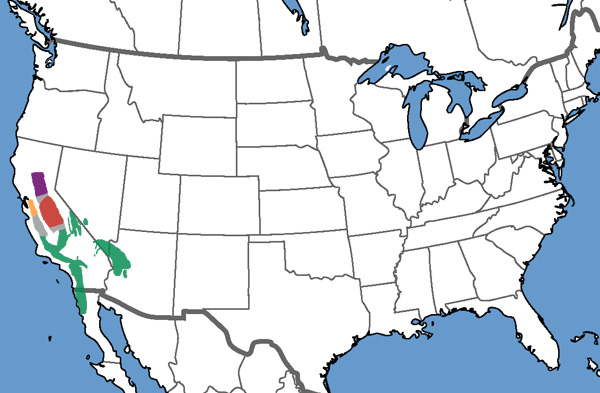 Plestiodon gilberti Range Map
