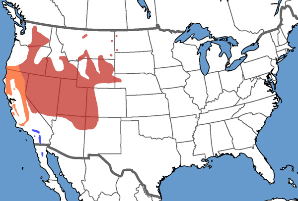 Full Species Range Map