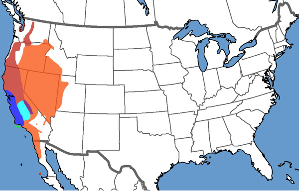 Full Species Range Map