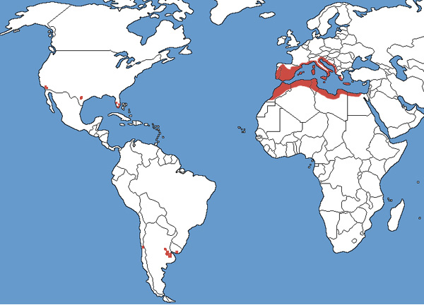 Full Species Range Map