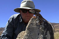 Great Basin Collared Lizard and human herp nerd