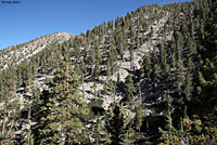 Mt. San Gorgonio