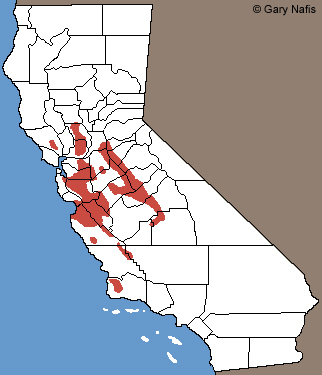 California Tiger Salamander range map