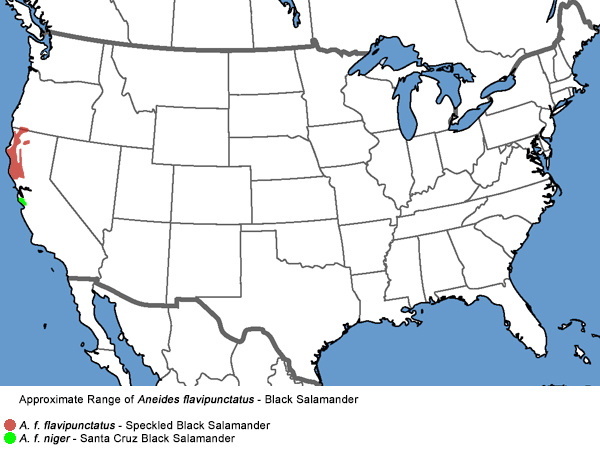 Full Species Range Map
