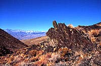 Panamint Rattlesnake Habitat