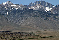 Sierra Gartersnake Habitat