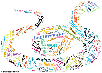 Snakes Word Cloud