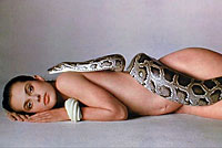 snake
