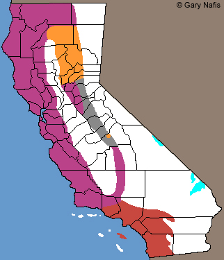 New Ring-necked Lineages Range Map