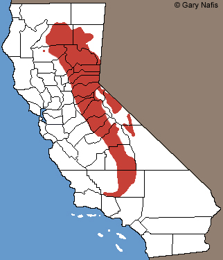 Sierra Gartersnake California Range Map