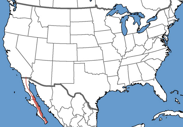 Full Species Range Map