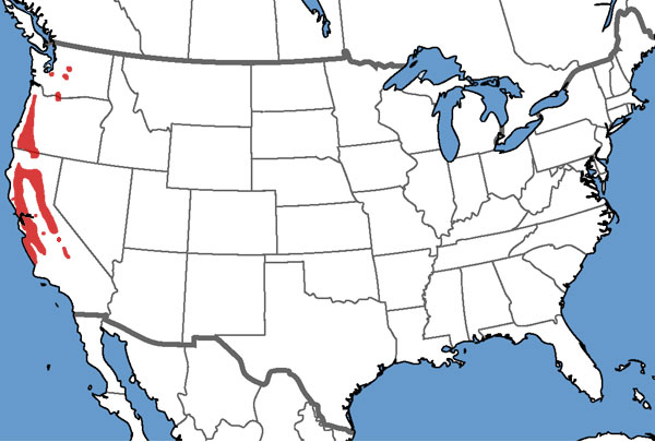 Full Species Range Map