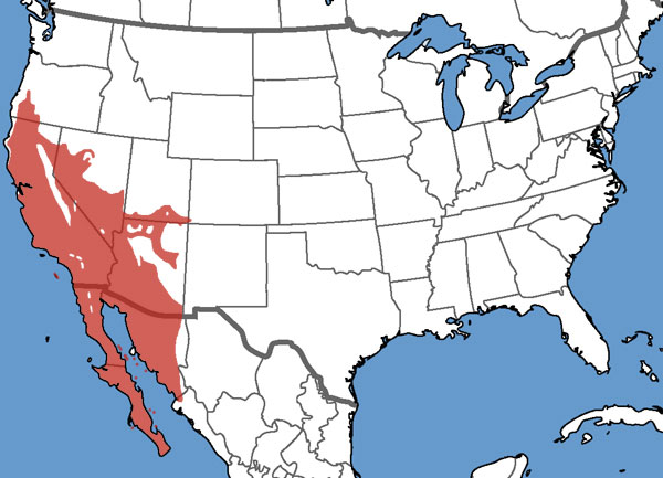 Full Species Range Map