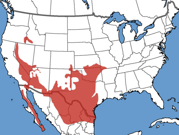 Full Species Range Map
