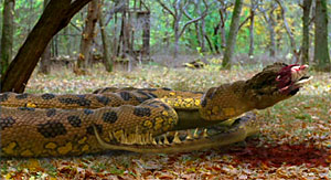 Anacondas: Trail of Blood