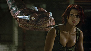 Boa vs. Python