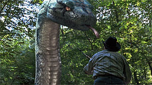 Boa vs. Python