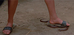 Drunken Master 2 Screenshot