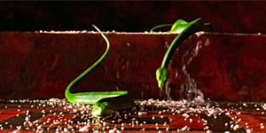Hercules Screenshot