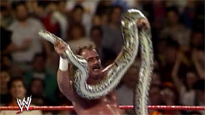 Jake The Snake