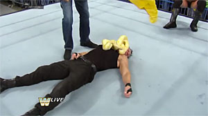 Jake The Snake