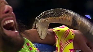 Jake The Snake