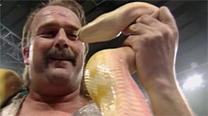 Jake The Snake