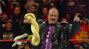 Jake The Snake