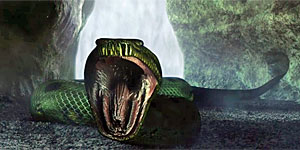 Jungle Run Screenshot